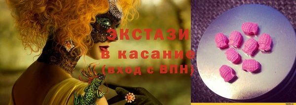 твердый Новодвинск