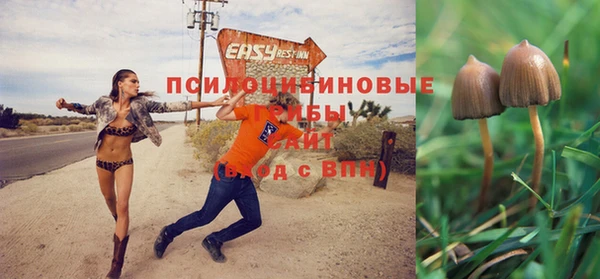 spice Алексин