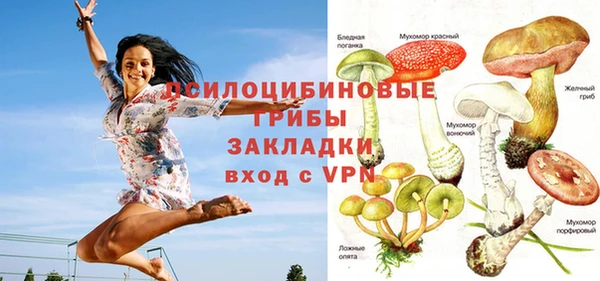 spice Алексин