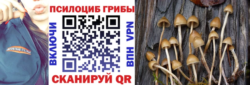 Галлюциногенные грибы Cubensis  магазин продажи наркотиков  даркнет клад  Ярцево 